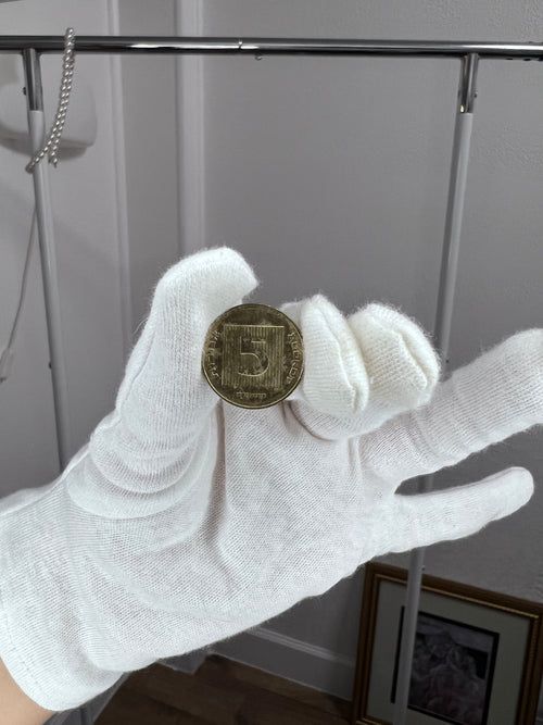 Ancient Hebrew Israeli Currency Keepsake (Replica Coins)